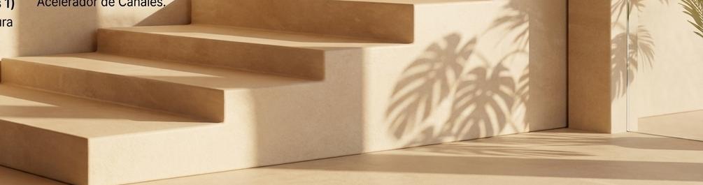 Travertine steps crossed by palm shadows in low sun