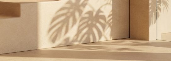 Monstera shadows thrown across a sunlit travertine wall